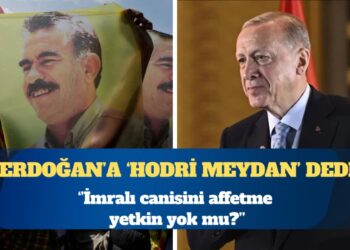 İYİ Partili Ayyüce Türkeş Taş’tan Erdoğan’a ‘Öcalan’ sorusu: Neden af yetkini kullanmıyorsun?