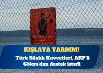 Türk Silahlı Kuvvetleri, AKP’li Tevfik Göksu’dan destek istedi