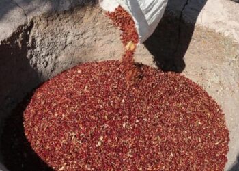 Beş sumak ve toz biberde boya tespit edildi