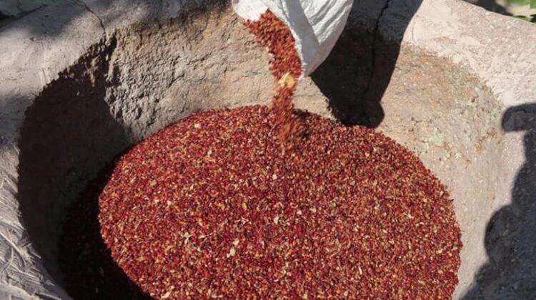 Beş sumak ve toz biberde boya tespit edildi