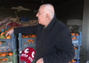 6 Şubat depremlerinin üçüncü yılında Hataylı narenciye üreticisi dertli: “1 ton mandalina satacağım, 1 kilo kıyma alacağım”