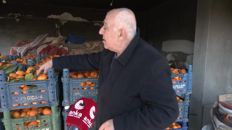 6 Şubat depremlerinin üçüncü yılında Hataylı narenciye üreticisi dertli: “1 ton mandalina satacağım, 1 kilo kıyma alacağım”
