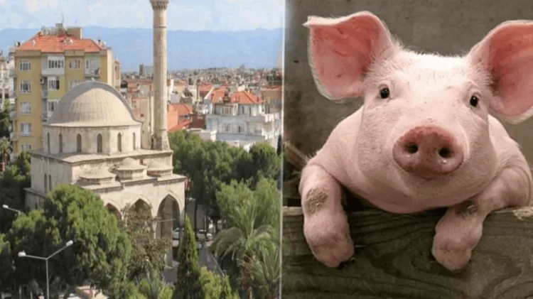 “Babamın hayrına” diyerek cami önünde 3 bin kişiye domuz eti yedirmiş