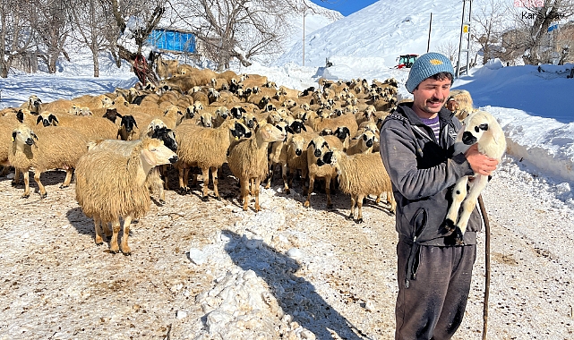 Atanamayan öğretmen hayvancılık yapmaya başladı: Her gün biraz daha zarar ediyoruz