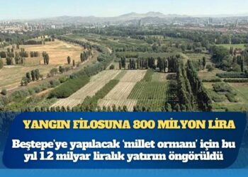 Beştepe Millet Ormanı’na 1.2 milyar, yangın filosuna 800 milyon lira ayrıldı