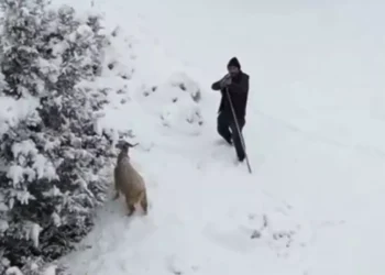 O anlar kamerada: Çoban kendisine yaklaşan dronu gördü, tüfeğini doğrulttu