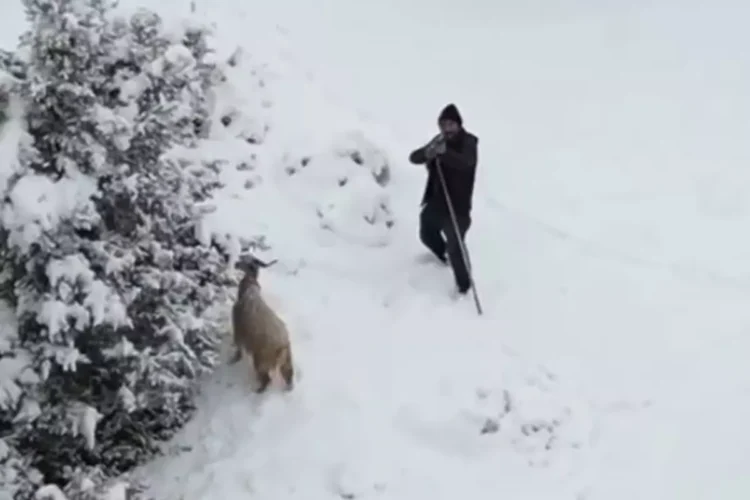 O anlar kamerada: Çoban kendisine yaklaşan dronu gördü, tüfeğini doğrulttu