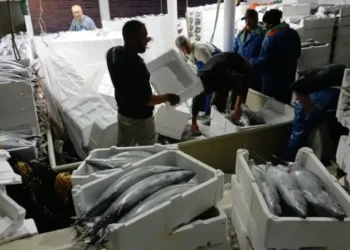 Hamsi tutmak için denize açıldı, servetle karaya geri döndü