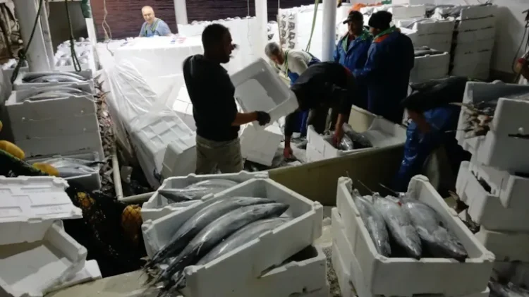 Hamsi tutmak için denize açıldı, servetle karaya geri döndü