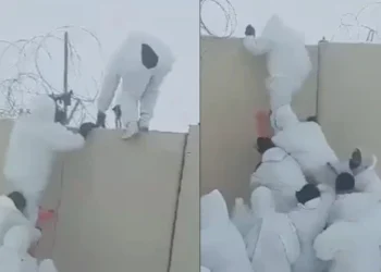 İranlı insan kaçakçıları reklama başladı: “Türkiye sınırından güvenli geçiş sağlamak bizim işimiz”