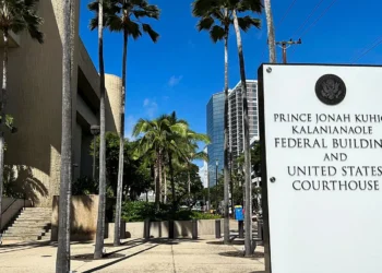 Kendini pilot ve görevli gibi tanıttı, yüzlerce kez bedava uçtu