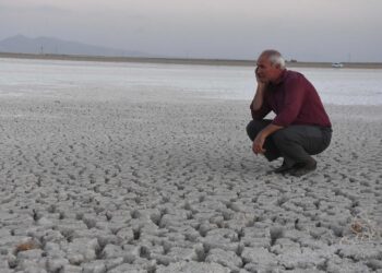 Kuraklık: Türkiye bir gıda krizine mi sürükleniyor?