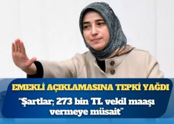AKP’li Zengin’in emekli açıklamasına tepki yağdı: 273 bin liralık vekil maaşını unuttu