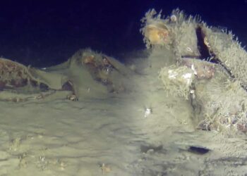 Fatih Terim’in kayınpederi de o uçaktaydı: THY’nin 50 yıl önce düşen uçağının parçaları bulundu