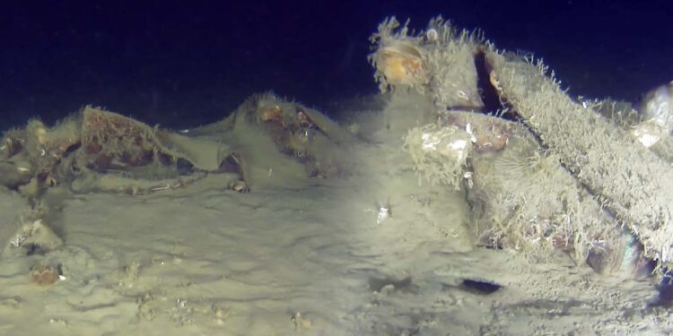 Fatih Terim’in kayınpederi de o uçaktaydı: THY’nin 50 yıl önce düşen uçağının parçaları bulundu