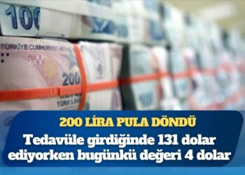 200 liranın alım gücündeki düşüş: Tedavüle girdiğinde 131 dolar ediyorken bugünkü değeri 4 dolar