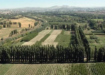 Beştepe Millet Ormanı’na 1.2 milyar, yangın filosuna 800 milyon lira ayrıldı