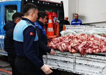 Mersin’de bir kamyonetten yarım ton bozuk et çıktı