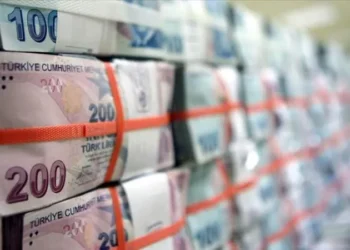 200 liranın alım gücündeki düşüş: Tedavüle girdiğinde 131 dolar ediyorken bugünkü değeri 4 dolar