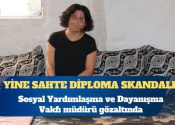 Yine sahte diploma skandalı: Sosyal Yardımlaşma ve Dayanışma Vakfı müdürü gözaltında