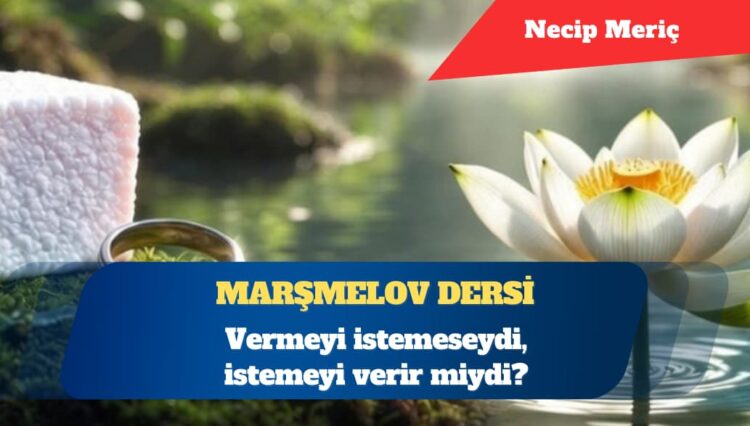 Marşmelov dersi