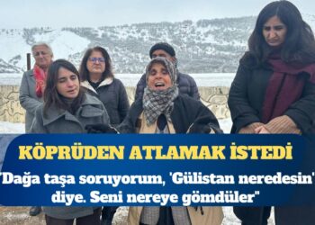 Gülistan Doku’nun annesi, köprüden atlamak istedi: Çığlığımızı artık duyun