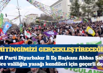 DEM Parti Diyarbakır İl Eş Başkanı Abbas Şahin: Mitingimizi gerçekleştireceğiz