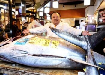 Japonya’da bir ton balığı 140 milyon liraya satıldı