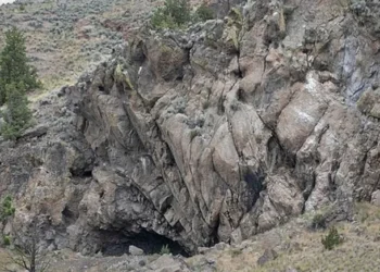 Bildiklerimizi değiştirecek keşif: 12 bin yıllık kıyafet bulundu