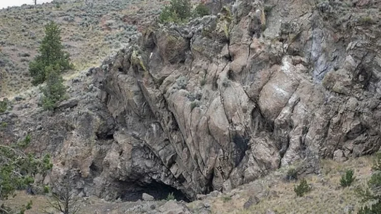 Bildiklerimizi değiştirecek keşif: 12 bin yıllık kıyafet bulundu