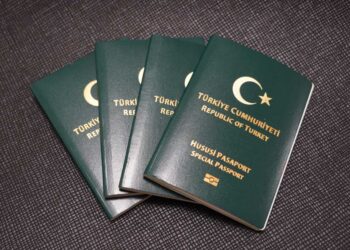 3 meslek grubuna daha yeşil pasaport