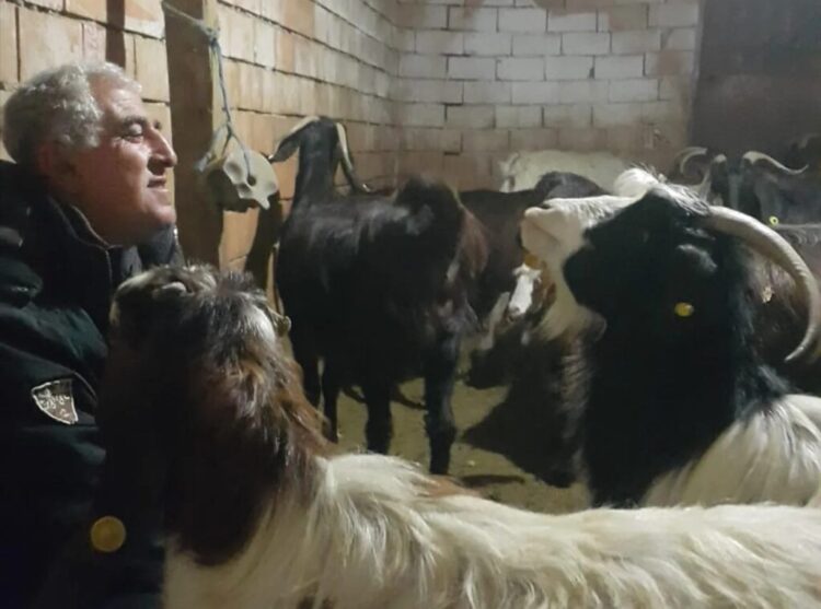 Afgan çoban çalıştıran köylü, göçmen kaçakçılığından tutuklandı