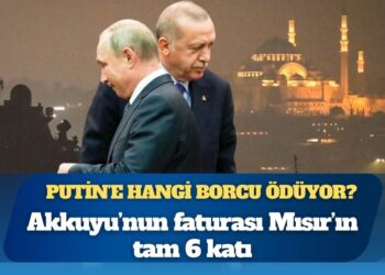 Akkuyu’nun faturası Mısır’ın tam 6 katı: Erdoğan Putin’e hangi borcu ödüyor?