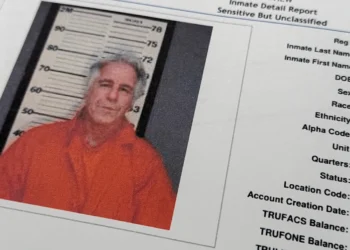 Epstein Studio: Belgelerdeki sansürü yok etmek için kurulan site yayında