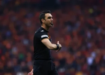 Düdük astırılan Arda Kardeşler’in yeni mesleği olay oldu