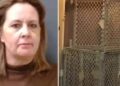 Evlat edindiği çocuklarını kafese kapatan anneye 80 yıl hapis cezası