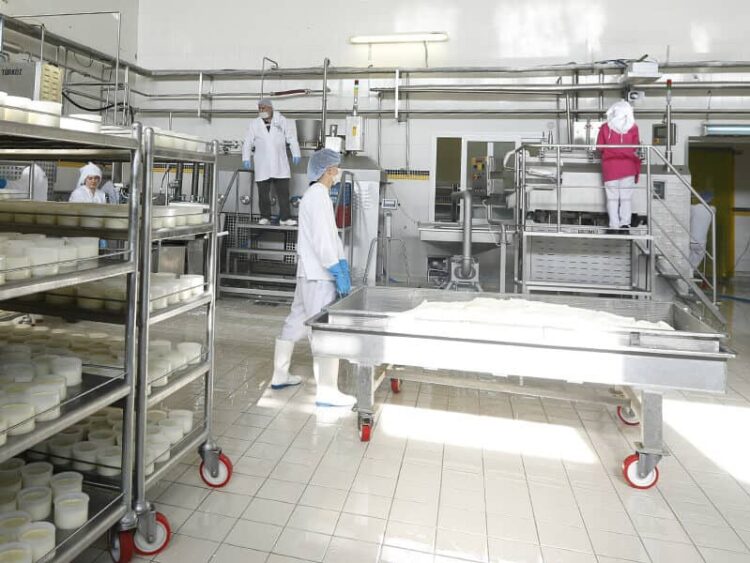 Artan maliyetlere yenildi: Türkiye’nin gıda devi üretimi durdurdu