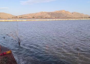 Uyarılar dikkate alınmadı; Osmaniye’de deprem konutlarını su bastı: “Buradan köye kayıkla mı geçeceğiz?”