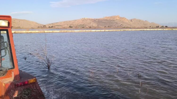 Uyarılar dikkate alınmadı; Osmaniye’de deprem konutlarını su bastı: “Buradan köye kayıkla mı geçeceğiz?”