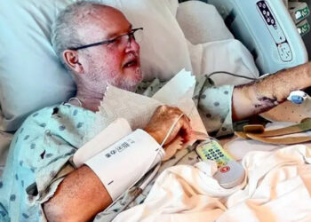 ‘Hayatımda hiçbir şeye bu kadar sert vurmadım’: Köpekbalığı saldırısına uğramak nasıl bir şey?