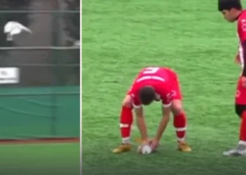 Uçan martıya top çarptı: Sahada kalp masajı yapıldı