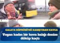 Galata Köprüsü’ndeki kavga gündemde: Vegan olduğunu söyleyen kadın, balıkları denize döktü