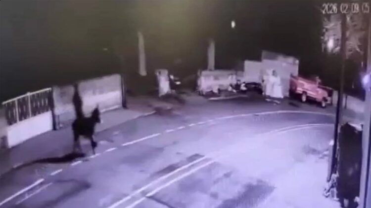 Yakalandı: Forkliftle kuyumcu soyup eşekle kaçtı