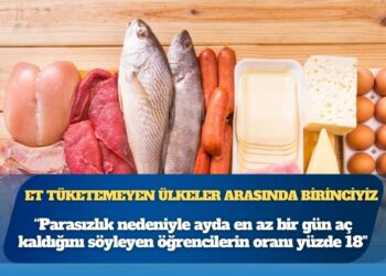 Eski TCMB baş ekonomisti Prof. Dr. Kara: Günaşırı et, tavuk ya da balık tüketemeyen OECD ülkeleri arasında açık ara birinciyiz
