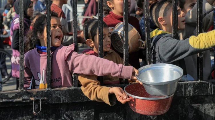 BM raporu: Her yıl 3 milyondan fazla çocuk açlıktan ölürken üretilen gıdanın üçte biri israf ediliyor