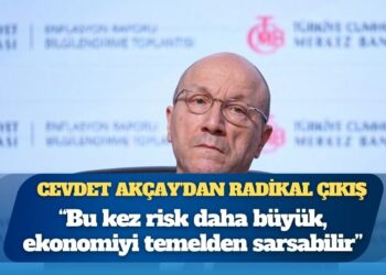 TCMB Başkan Yardımcısı Cevdet Akçay: Bu adımlar atılmasa enflasyon yüzde 150-200’e ulaşabilirdi