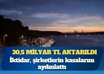 Elektrik şirketlerine ödenen para 4 yılda 2,9 milyar TL’den, 30,5 milyar liraya fırladı