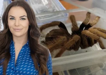 Kiracısına canlı tarantula attı, siyasi kariyeri bitti