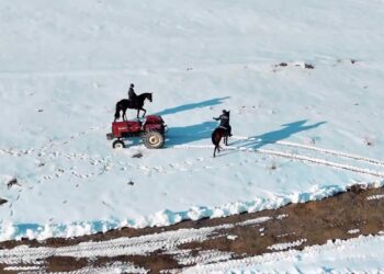 Muğla’da çalınan traktör 21 yıl sonra Van’da bulundu