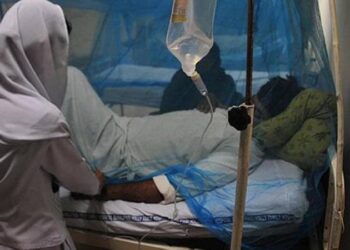 Nijerya’da Lassa ateşi salgını: Bir haftada 20 kişi öldü